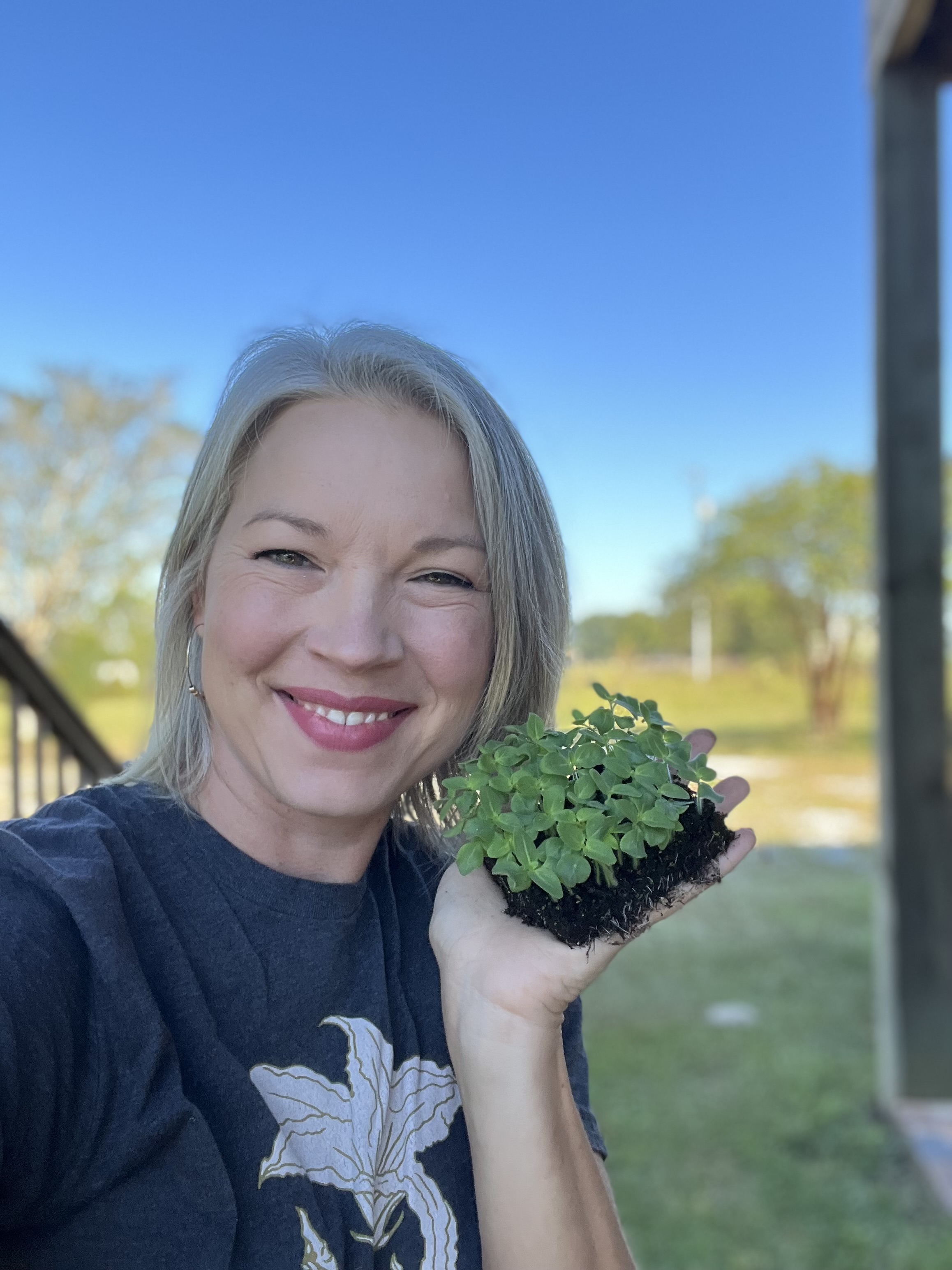 A soil block full of young sprouts - learn how to make one yourself!